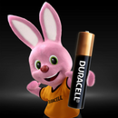 Duracell Specialty AAAA/E96 Alkaline Battery 1.5V MX2500