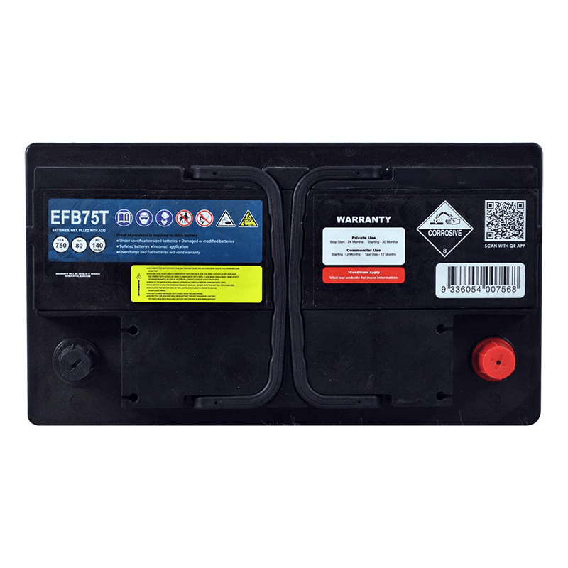 SSB EFB75T