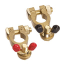 Projecta BRASS WINGNUT 5 POS & 5 NEG