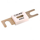 ANL-fuse 300A/80V for 48V products (1 pc)
