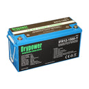 12V 150Ah (5hr rate) LiFePO4 Battery Module with PCM + M8 Bolt