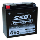 RT14B-4 High Peformance AGM Motorcycle Battery