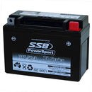 RT6.5B-3 High Peformance AGM Motorcycle Battery