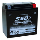 RTX14L-BS High Peformance AGM Motorcycle Battery