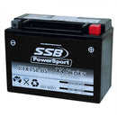 RTX15L-BS High Peformance AGM Motorcycle Battery