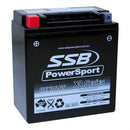 RTX16-BS High Peformance AGM Motorcycle Battery