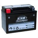 RTZ14-S High Peformance AGM Motorcycle Battery