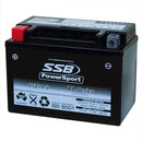 RTZ14-S High Peformance AGM Motorcycle Battery