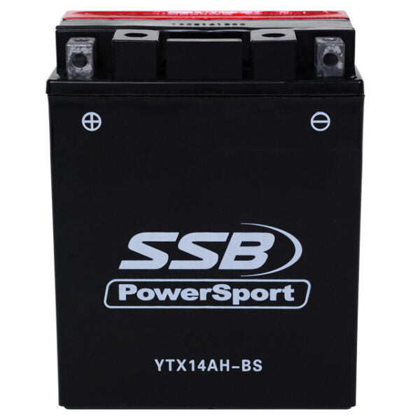 YTX14AH-BS High Performance Maintenance Free Motorcycle Battery