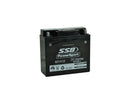 R51913 High Peformance AGM Motorcycle Battery