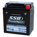 RB10L-A2 High Peformance AGM Motorcycle Battery