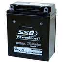RB12A-A High Peformance AGM Motorcycle Battery
