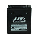 RB12AL-A 12V VRLA (AGM) Battery