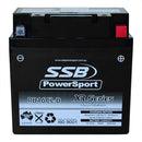 RB16CL-B High Peformance AGM Motorcycle Battery