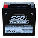 RTX14-BS High Peformance AGM Motorcycle Battery